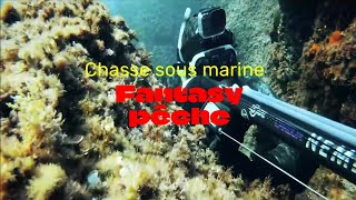 Fantasy pêche - chasse sous-marine