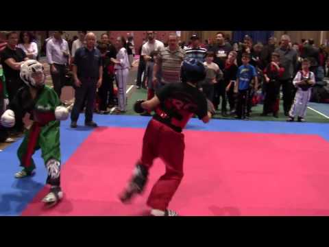 Brian Ho-Pham vs Raresh Negrut - Quebec Open 2015 - Team Fight Finals 2