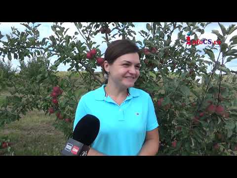 Nicoleta Şmac din Ticvaniul Mare - Fata din livada fermecată de pe dealul Cârnecei