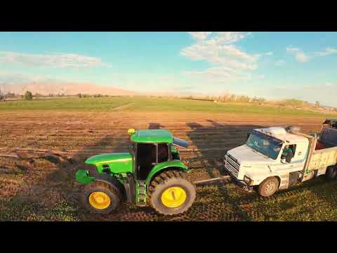 Arrancando la mañana full trabajo en los campos de Pocito, San Juan-Argentina.