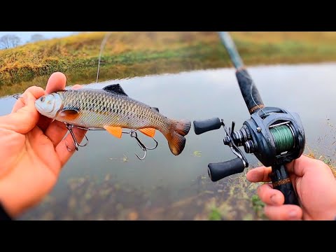 Winter Lure Fishing for Pike! (With the Savage gear Pulsetail Trout)