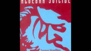 Algebra Suicide - Incorrigible