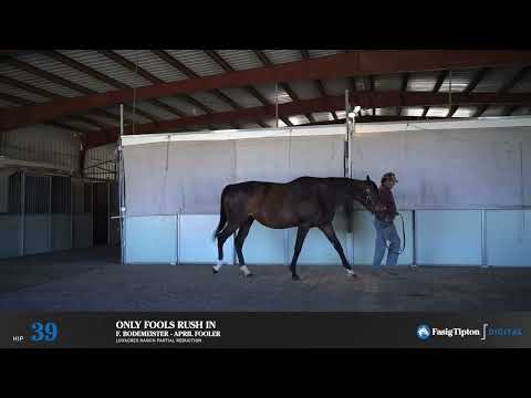 Lovacres Ranch Rally Back Only Fools Rush In