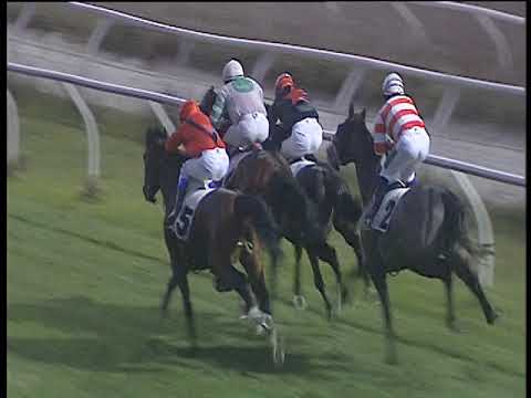 Galoppo 02/01/2019 - 3ª corsa