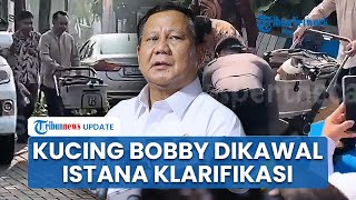 Istana Klarifikasi Pengawalan pada Bobby Kertanegara Kucing Prabowo seusai Dihujat Berlebihan