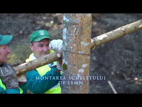 Cum se amenajează un ghețar la Direcția Silvică Bacău din cadrul Romsilva