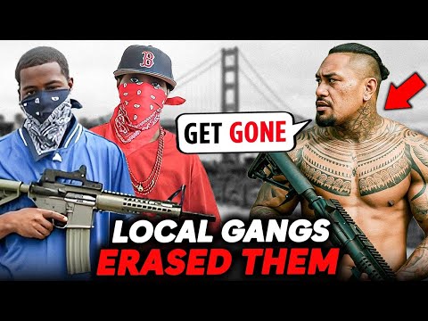 Bay Area Gangs Map