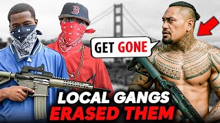 Why There're No CRIPS & BLOODS in Bay Area