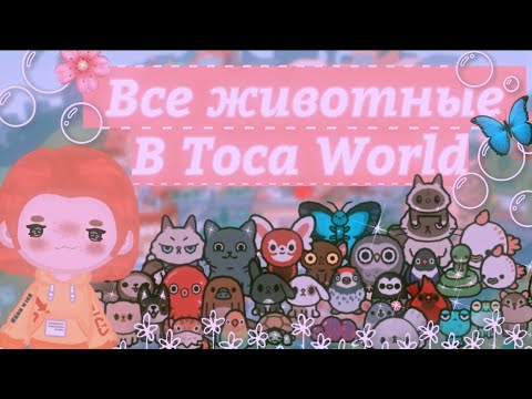 •|🦋🌸Все животные в Toca World 🌸🦋|•|🦋🌸Где найти всех животных в тока бока?🌸🦋|•|TocaBoca//TocaWorld|•