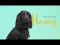Tether Overview | How To with Henry
