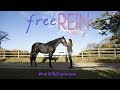 #free REIN /Empire song