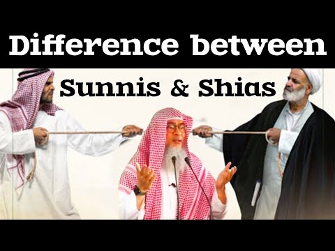 What is the difference between Sunnis & Shias? #Assim #assimalhakeem #assim assim al hakeem