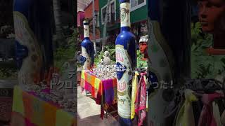 【Waldorf Astoria🇲🇽】カンクンバカンスで念願のホテルに宿泊🏝️