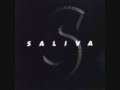Saliva - Beg