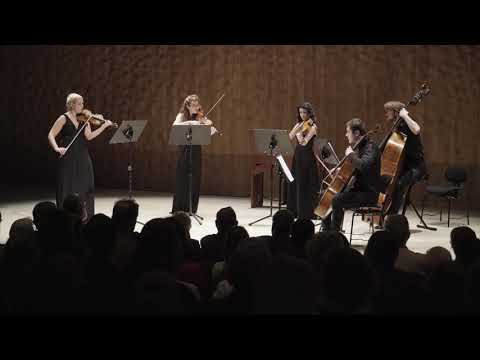 Hamburg Stage Ensemble / Gardel Por una Cabeza