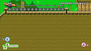 混沌のマリオメーカー2オンライン