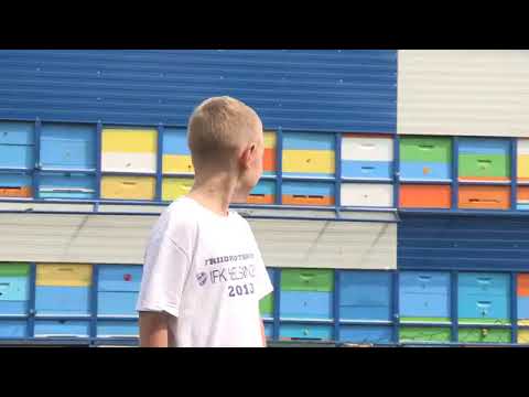 Goran Gavrilović - Boja meda u kontejneru