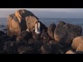 Lavína Feat Dominika Gurbaľová