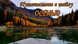 Рыбалка в горном алтай
