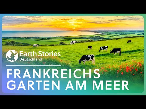Die Normandie: Das grüne Paradies Frankreichs