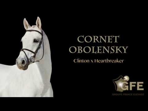 CORNET OBOLENSKY*GFE 2017