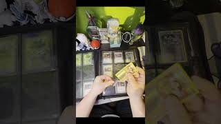 Check out my Turtwig/Grotle/Torterra collection with me!