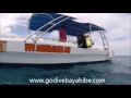 Boat ride in Bayahibe, Unser Boot Bubble in Action, GO DIVE BAYAHIBE, Dominikanische Republik