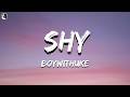 BoyWithUke Shy Lyrics