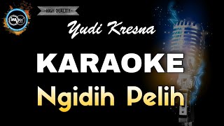 Download lagu NGIDIH PELIH YUDI KRESNA - KARAOKE mp3