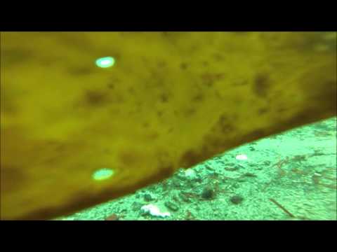 SUPER Sarca Anchor Setting Test. 3.5 to 1. Sand/Rock. Video #47 of an ongoing series.