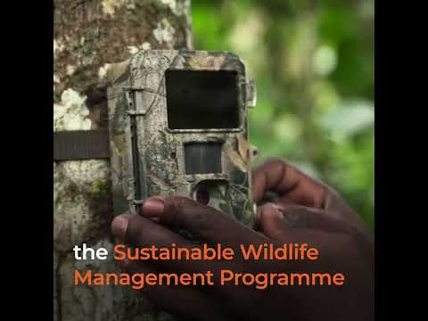 Discovering Congo's rich wildlife with camera traps