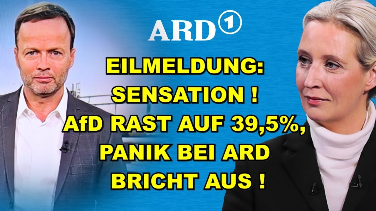 EIL: AfD RAST AUF 39,5%! PANIK BEI ARD!