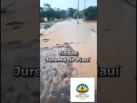 as primeiras chuvas em Jurema -PI