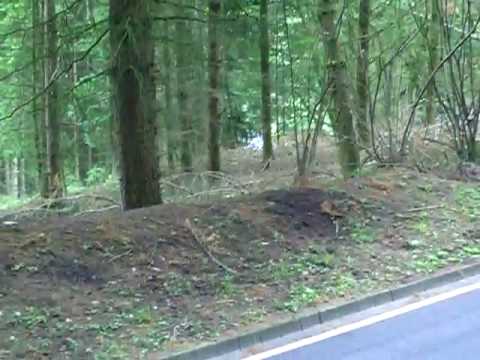 Urs Müller, Argo Alfa CN, Trierer Bergrennen 2010