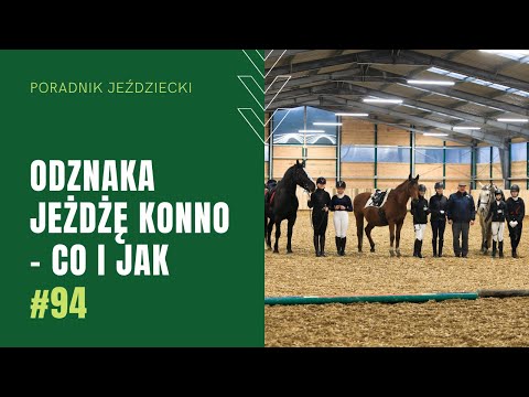 JAK ZDAĆ ODZNAKĘ JEŻDŻĘ KONNO | Poradnik jeździecki #94