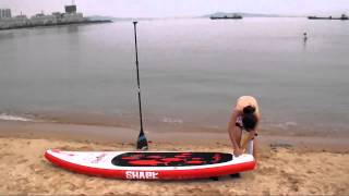 preview picture of video 'Paddle with Shark World Best Inflatable SUP Manufacturer'