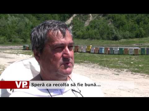 Speră ca recolta să fie bună…