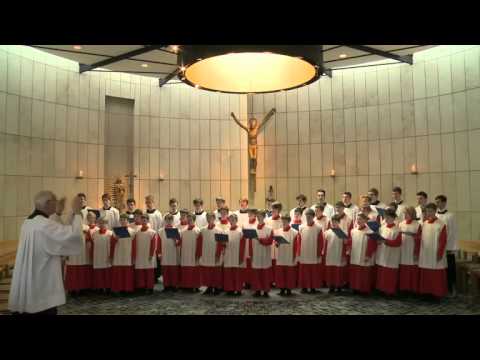 Gotteslobvideo (GL 238): O du fröhliche