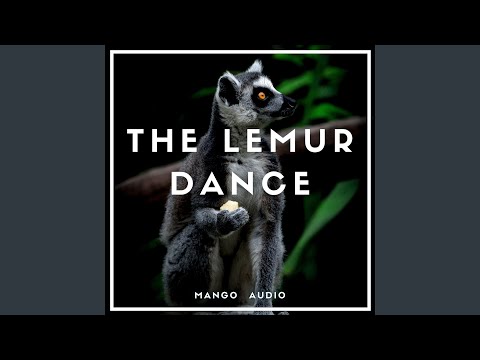 The Lemur Dance