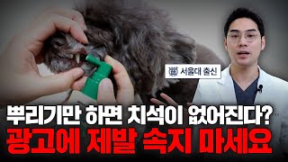 강아지 치석 스프레이, 광고아니고 사기입니다❌ 절대 속지 마세요