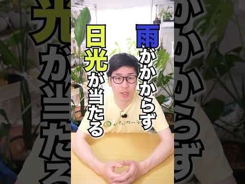 トマトを夏のいつでも、そしてそれ以降でも食卓に並べられるようにするにはどうすればよいでしょうか？  庭園