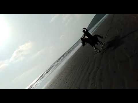horse riding beach