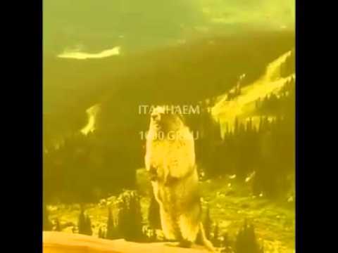 Devolve minhas roupas