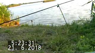 Рыбалка на чкаловских прудах ростовская область