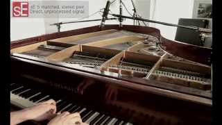 Video thumbnail for The sE5 - Vintage Piano by sE Electronics