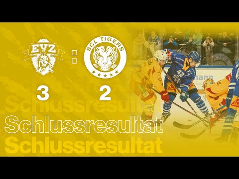 EV Zug - SCL Tigers - 18.01.2025 | SCL Tigers