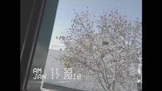 BOUNCING | Catherine Salt