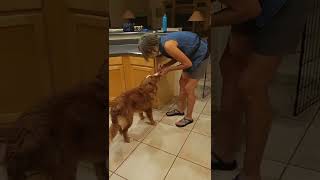 Blaze threshold searches