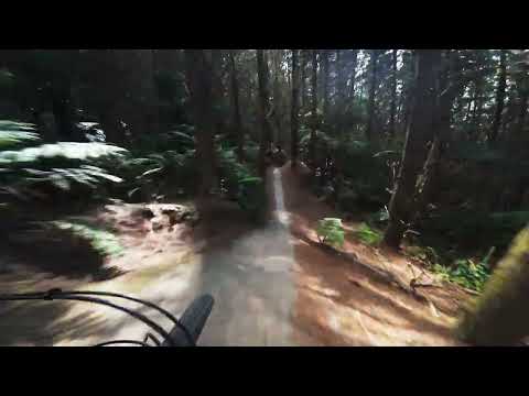 Is Te Poaka the Best Flowy Mountain Bike Trail in Rotorua?