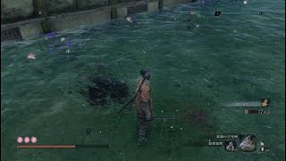 中ボス「宮の桜牛」戦「SEKIRO」
